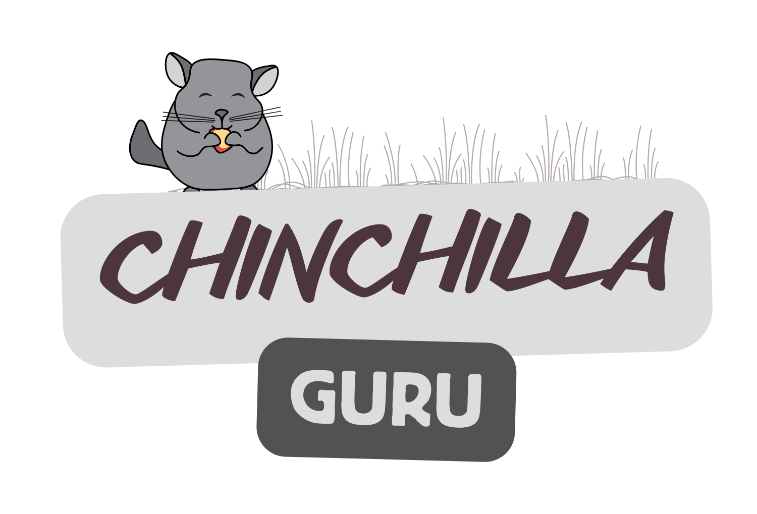 Chinchilla Guru