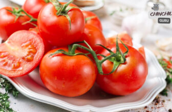 Can chinchillas eat tomatoes?